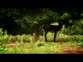 imagen del video Gauchos Del Mar Trailer - surfahierro | el surf desde otro punto de vista