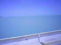 Foto v�deo