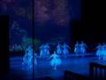 Ballet de Cuba Don Quixote