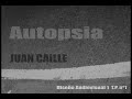 audiovisual autopsia juancaille