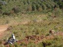 motocross crf 230cc e tornado 290cc
