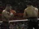 Ultimate Boxing Fights.