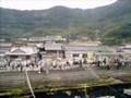 上関原発反対1000回記念デモin祝島