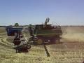 gebr jenniskens harvesting australie