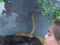 MUNDO REPTIL