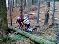 dziki gleba , , szczyrk enduro 10.11.2008
