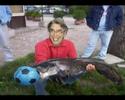 Pescare con photoshop