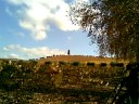 videos de Leaves in fall