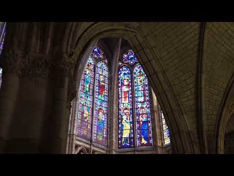 Castilla y León es Vida, Castilla y León es...¡luz! Catedral de León