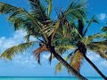 vues de pointe a pitre (guadeloupe)