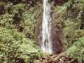 vues de pointe a pitre (guadeloupe)