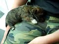 Oscar as a teenie bopper. 2!