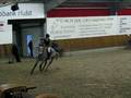 4 yrs Z mare jumping 90 cm in Heikant, NL 221108