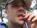 walk in the woods journal 2 - PITBULL ATTACK!!!