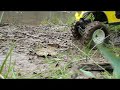 Axial AX10 CJ8 jeep rock crawler video 12 Axial AX10 CJ8 jeep rock crawler video 12