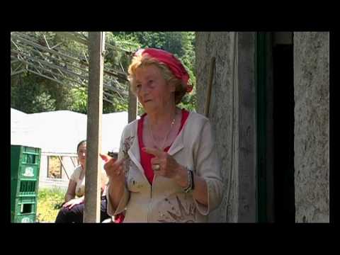 Guarda video