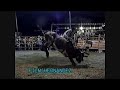 aguilita de zepayautla vs coralillo