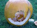 Spud vs. Squash - Pumpkin gets hit by a potato gun