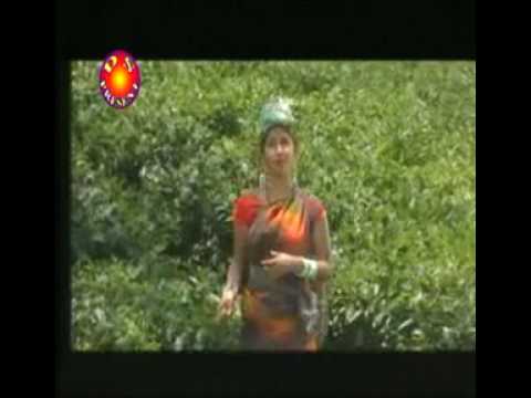 See video See video