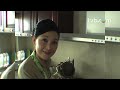 TVB 摘星之旅花絮林峯自家製片段 - free flv video @ vwatch.tv