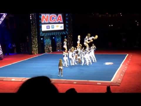california wildcats