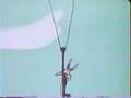 The Wile E Coyote Government