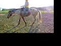 week-one-of-retraining-dixie.html