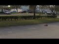 Traxxas Xo-1 Crashes, Wrecks, Into A Tree!!