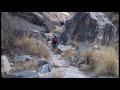 Hiking with Southwest Trekking