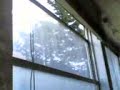 profilattico al meucci