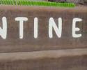 Domino Across the USA !Must See! Domino Across the USA !Must See!
