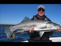 Epic Striped Bass on the Fly Epic Striped Bass on the Fly