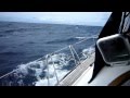 Bermuda to Newport #2