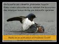 can-bedenden-kmaynca-bytrajedi-.html