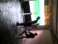 - Os Danadinhos -