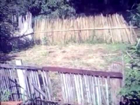 flagra sexo chat pt com flagra sexo chat pt com