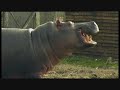 Danger 50000 Volts 7.2 Nick Frost