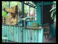 Cabinas Selvin-Punta Uva Caribe Sur