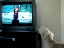 Jessie Loves Dawson's Creek
