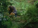 Experimental Film