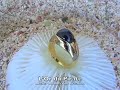 Bague clips gros cabochon Bague clips gros cabochon