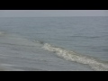 Sanibel Island, 12-07-09