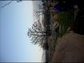 SL389383.AVI
