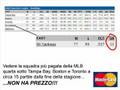 Yankees Suck, Red Sox mastercard