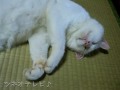 ラッキーダンス2007♪