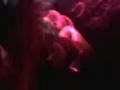 videos de Razz (pepo+jorg)