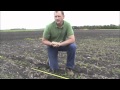 Ag Bites -- Corn Stand Evaluation How-To -- May 24, 2012