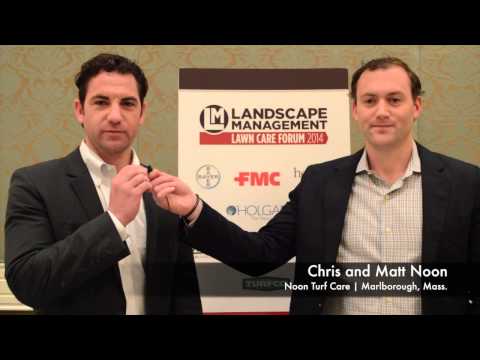 how to care for lm grass