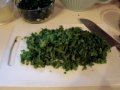 Ontario Spring Onion Pesto Raw Food Recipe!