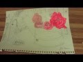Drawing Roses In A Watering Can: Part 2